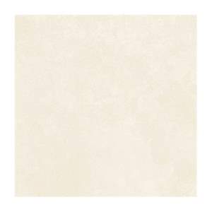 Gạch lát nền Prime 100×100 21311