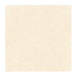 Gạch lát nền Prime 60x60cm 22012