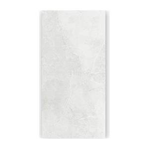 Gạch ốp lát Taicera 60x120 G12MXBL