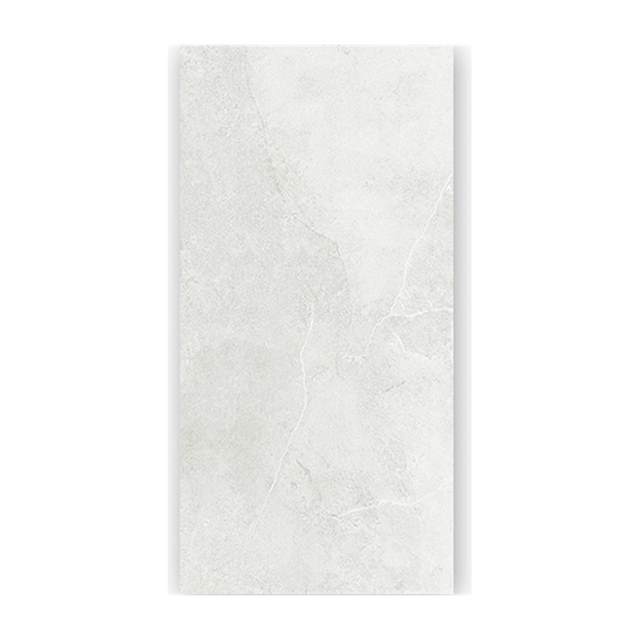 Gạch ốp lát Taicera 60x120 G12MXBL