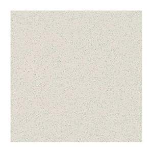 Gạch lát nền Taicera 60x60 G68005
