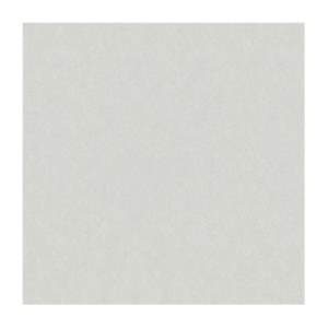 Gạch lát nền Taicera 60x60 G68025