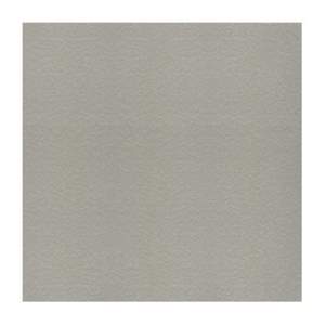 Gạch lát nền Taicera 60x60 G68548