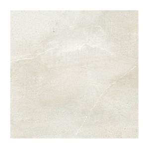 Gạch lát nền Taicera 60x60 G6873M2
