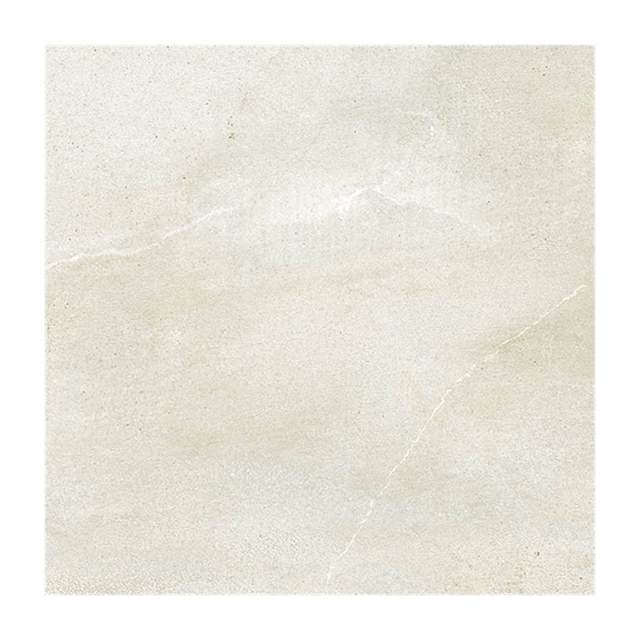 Gạch lát nền Taicera 60x60 G6873M2