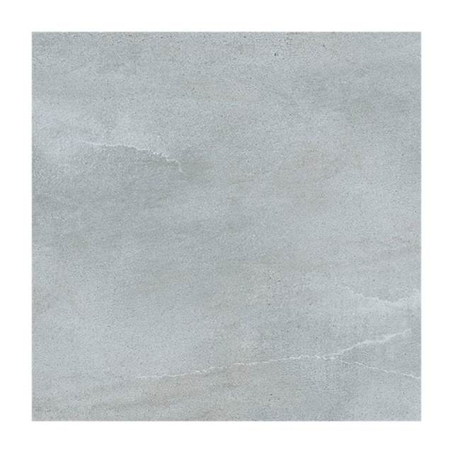 Gạch lát nền Taicera 60x60 G6878M2