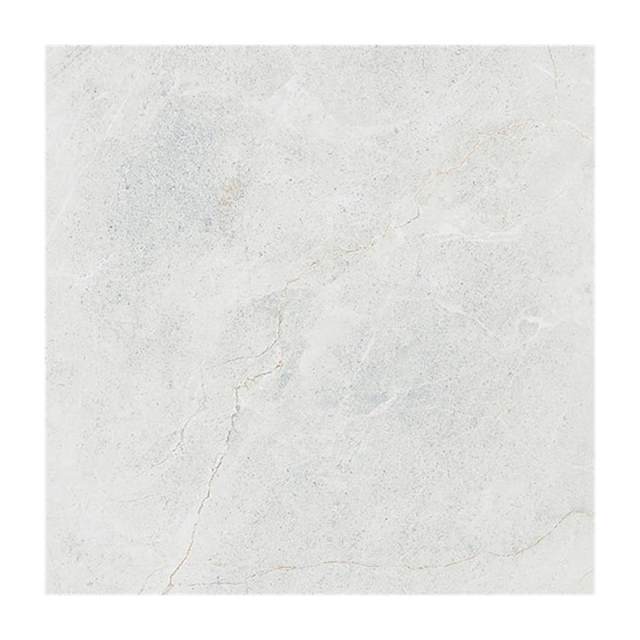 Gạch lát nền Taicera 60x60 G68845