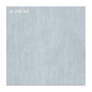 Gạch lát nền Taicera 60x60 G68987