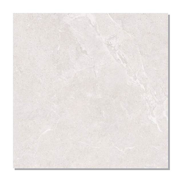 Gạch lát nền Taicera 60x60 G68L01JF