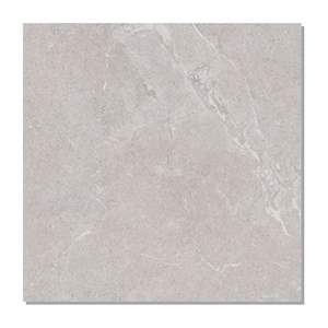 Gạch lát nền Taicera 60x60 G68L08JF