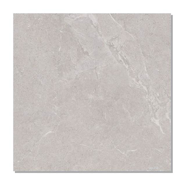 Gạch lát nền Taicera 60x60 G68L08JF