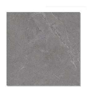 Gạch lát nền Taicera 60x60 G68L09JF