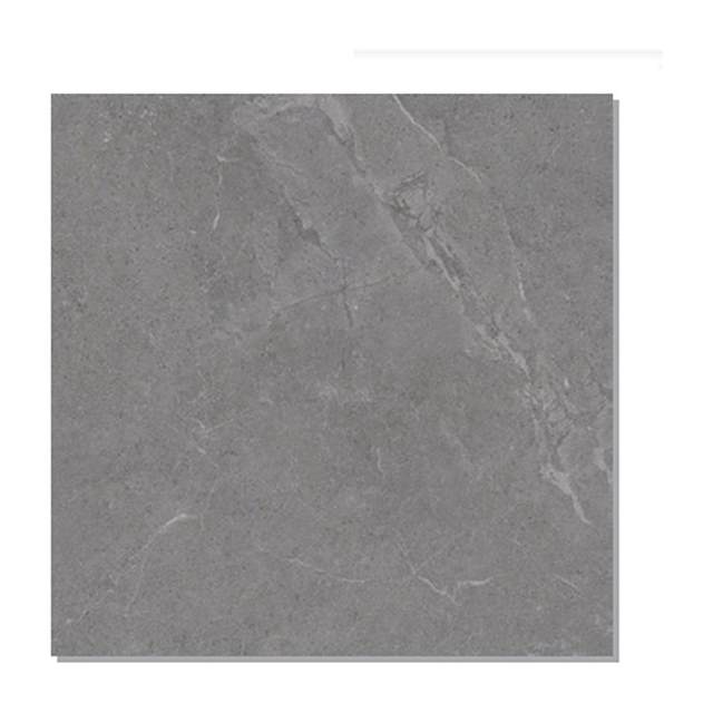 Gạch lát nền Taicera 60x60 G68L09JF