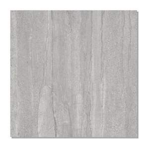 Gạch lát nền Taicera 60x60 G68P07JW