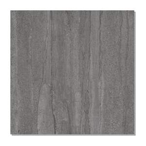 Gạch lát nền Taicera 60x60 G68P08JM