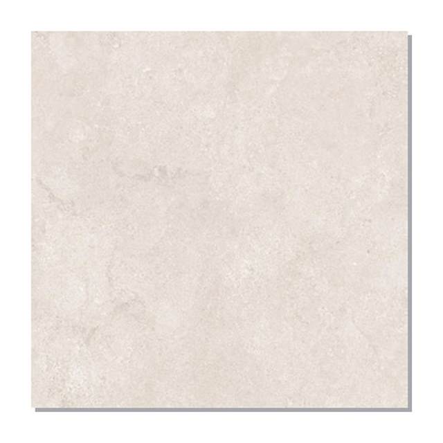 Gạch lát nền Taicera 60x60 G68P13JW
