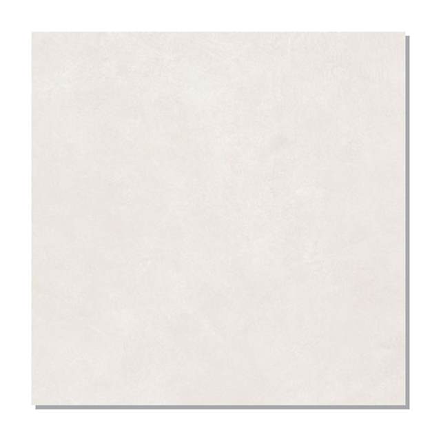 Gạch lát nền Taicera 60x60 G68P22JM