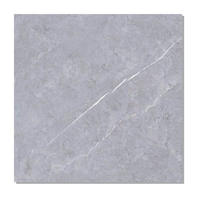 Gạch lát nền Taicera 60x60 GP68237J