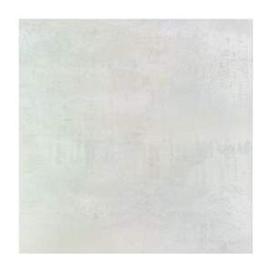 Gạch lát nền Taicera 60x60 P2960 KUBL