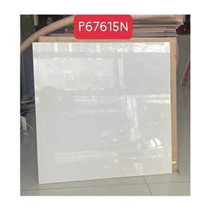 Gạch lát nền Taicera 60x60 P67615N