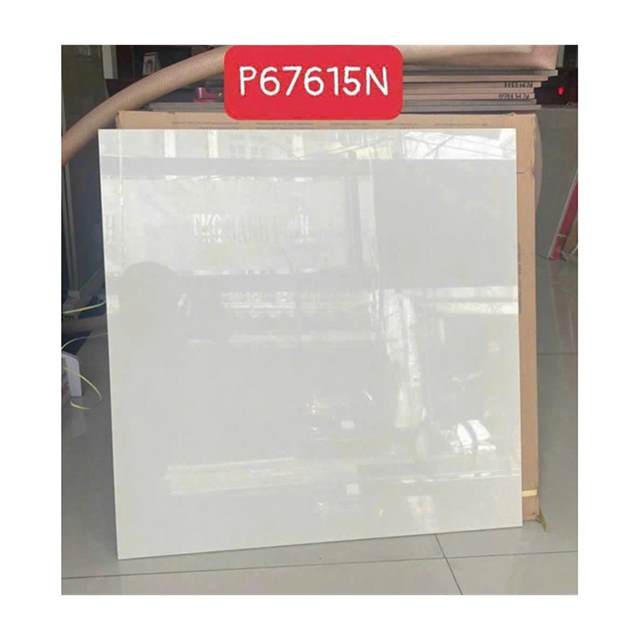 Gạch lát nền Taicera 60x60 P67615N
