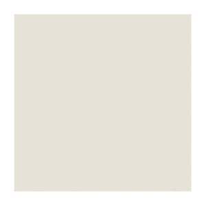 Gạch lát nền Taicera 60x60 P67625N