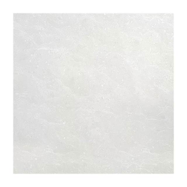 Gạch lát nền Taicera 60x60 P67662N