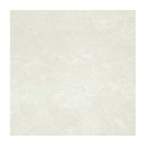 Gạch lát nền Taicera 60x60 P67663N