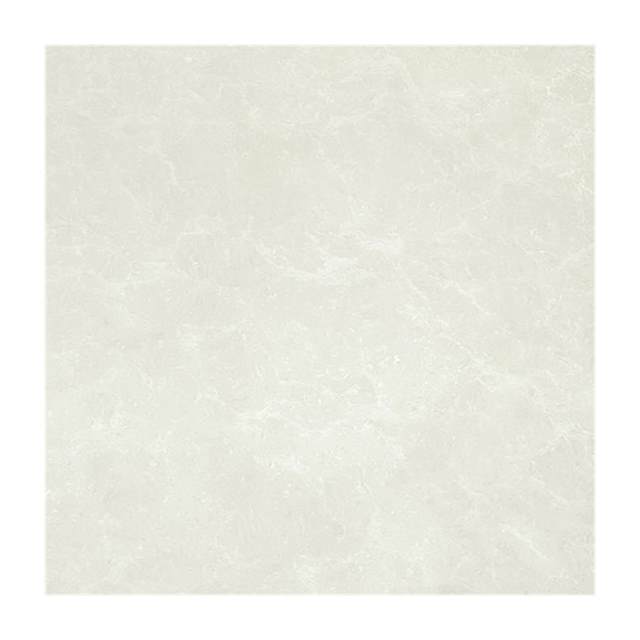Gạch lát nền Taicera 60x60 P67663N