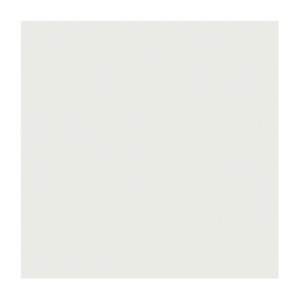 Gạch lát nền Taicera 60x60 P67665G