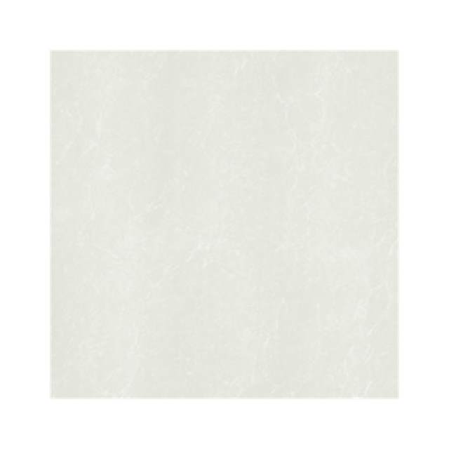 Gạch lát nền Taicera 60x60 P67762N