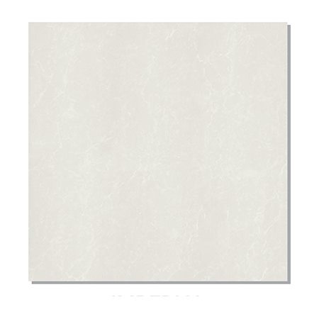 Gạch lát nền Taicera 60x60 P67842N men bóng