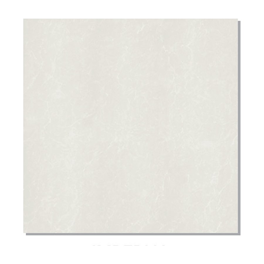 Gạch lát nền Taicera 60x60 P67842N men bóng