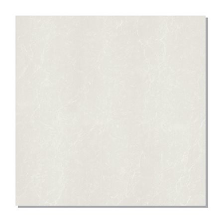 Gạch lát nền Taicera 60x60 P67862N men bóng