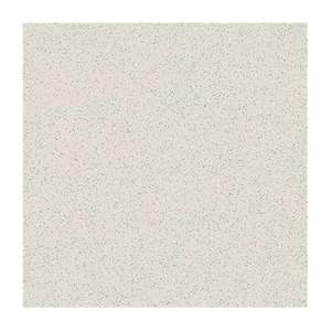 Gạch lát nền Taicera 80x80 G88005