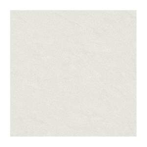 Gạch lát nền Taicera 80x80 P87542N