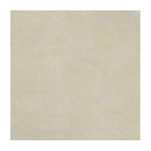 Gạch lát nền Taicera 80x80 P87543N
