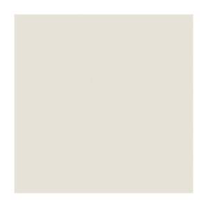Gạch lát nền Taicera 80x80 P87625N