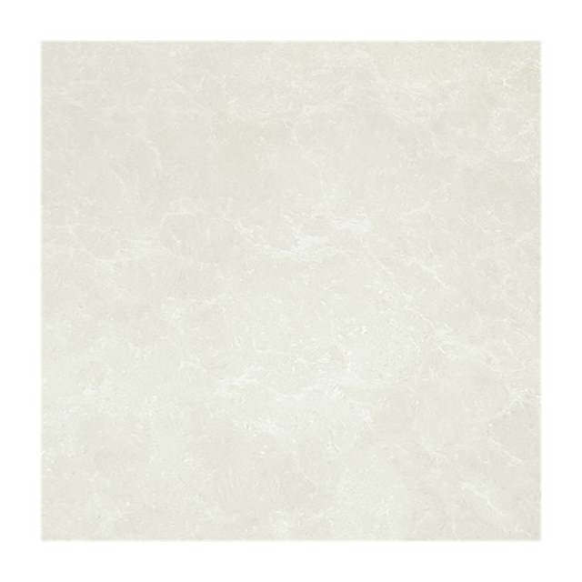 Gạch lát nền Taicera 80x80 P87663N