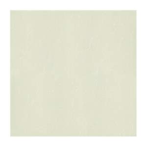 Gạch lát nền Taicera 80x80 P87763N