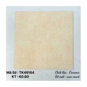Gạch lát nền Takao 60x60 TK46164