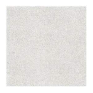 Gạch ốp lát Viglacera 60x60 ANC H02