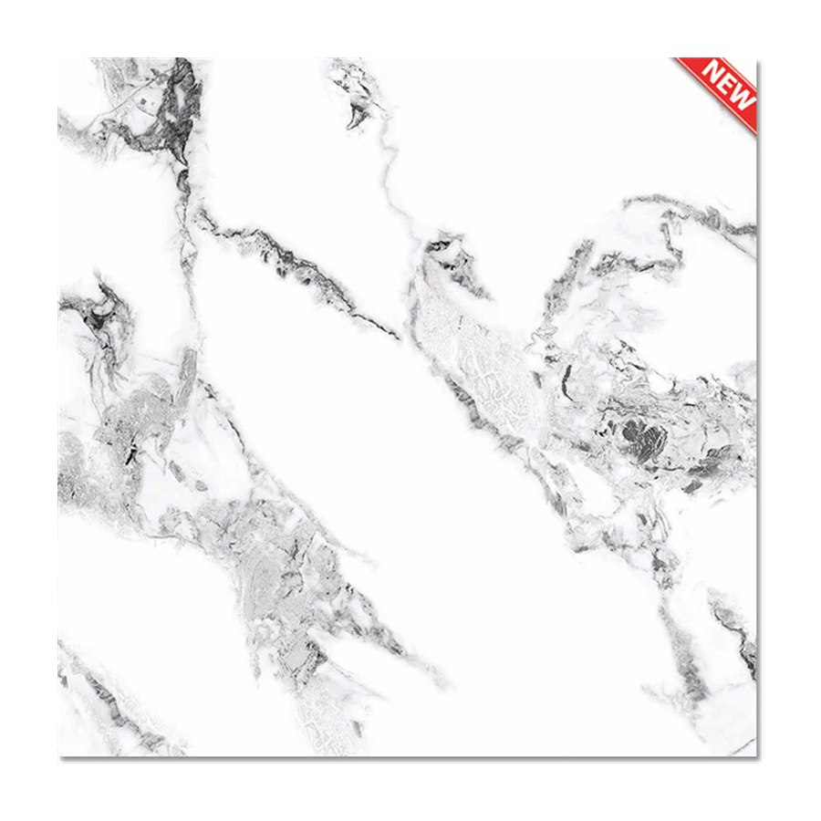 Gạch lát nền VIOVA 60x60 VN66045