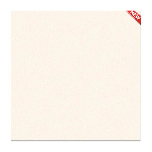 Gạch lát nền VIOVA 60x60 VN66051