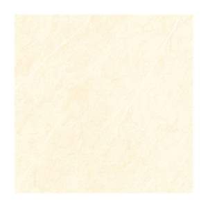 Gạch lát nền Vitto 100x100 06272