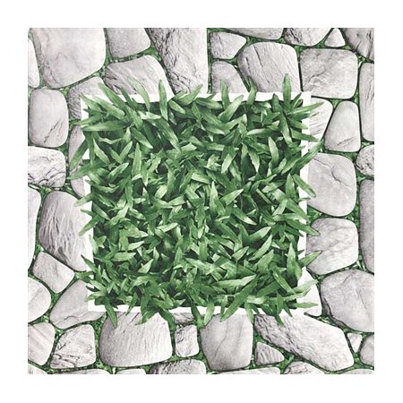 Gạch lát sân vườn Prime 40x40 454