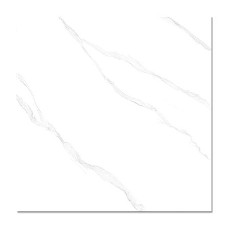 Gạch men bóng Đồng Tâm 100CARARAS002-FP-H+ 100x100