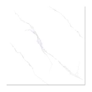 Gạch ốp lát Amado 8203 80x80