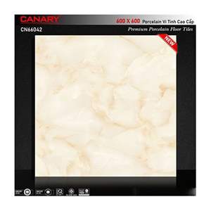Gạch ốp lát Canary CN66042SA 60×60cm