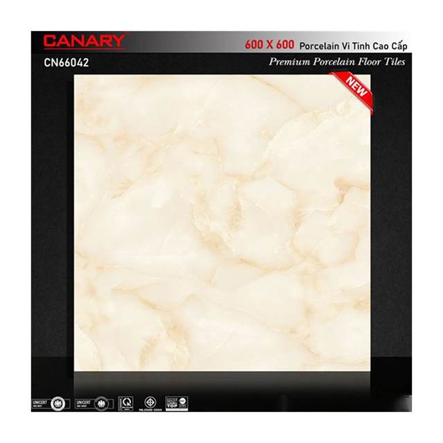 Gạch ốp lát Canary CN66042SA 60×60cm